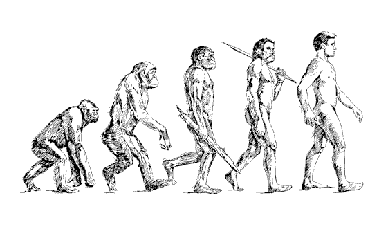 human-evolution human-evolution
