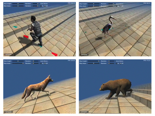 20081101_locomotion_video 20081101_locomotion_video