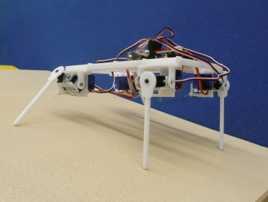 Locomorph EU Project - Robot #2 Locomorph EU Project - Robot #2